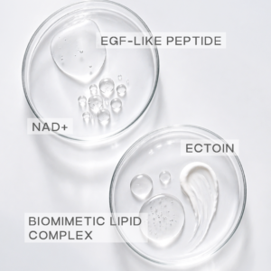 Cellular Renewal Essence - Image 3