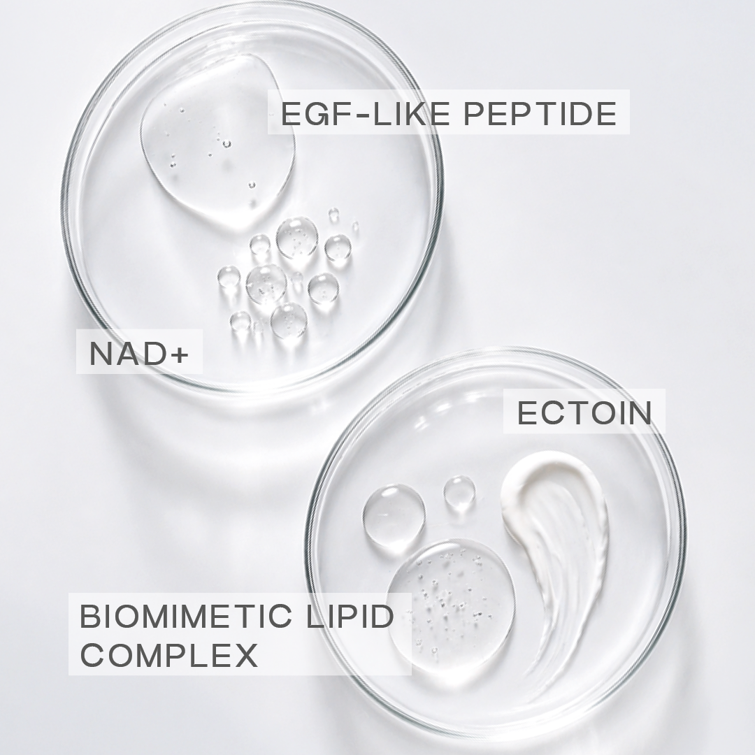 Cellular Renewal Essence - Image 3